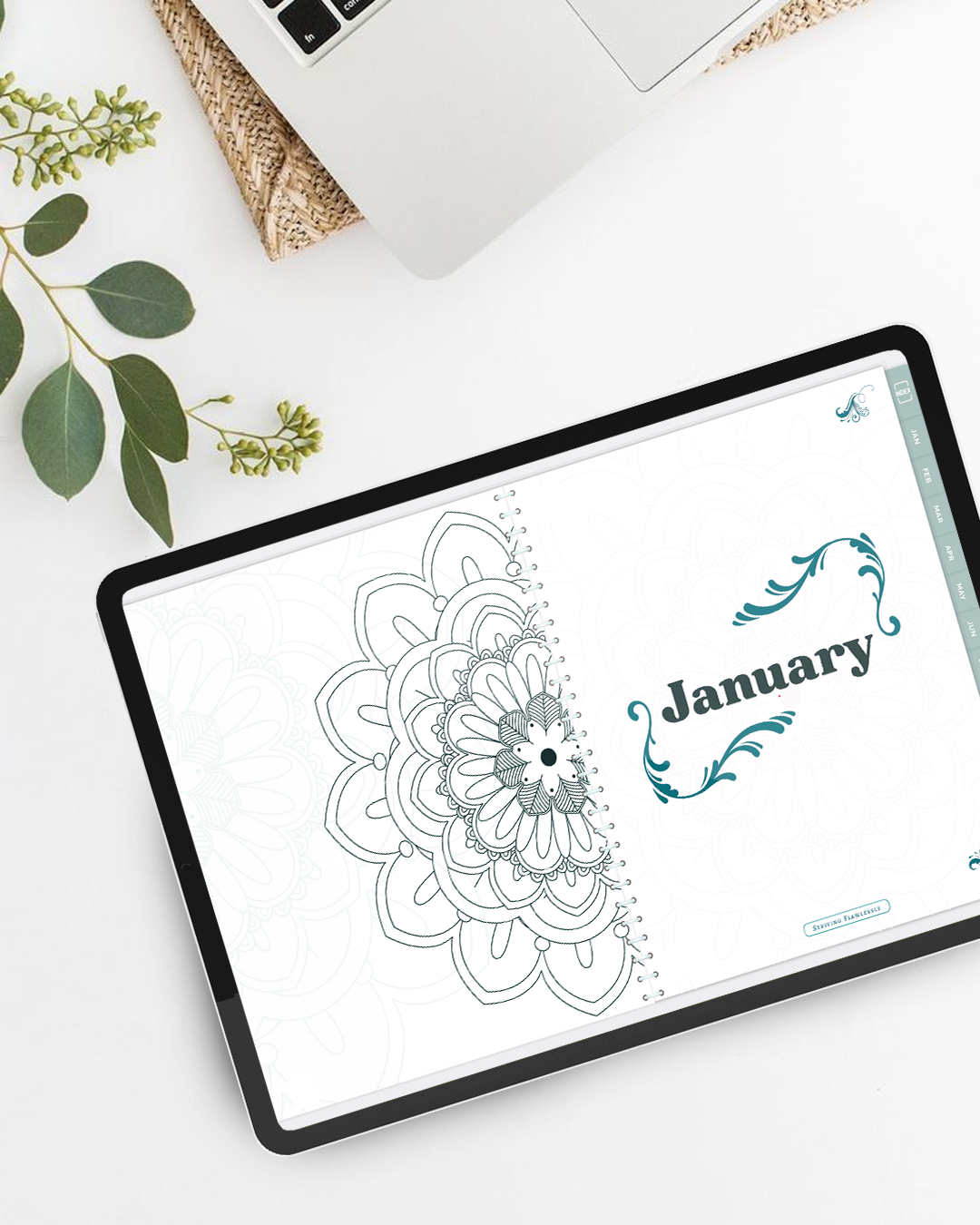 2026 Serenity: Teal Surprise